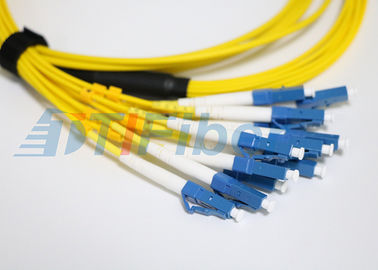 12 unimodaux creusent la corde de correction optique de fibre de MPO avec le connecteur de LC/UPC