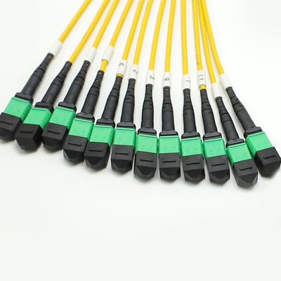 Cable MPO Fanout à faible perte Cœur de grande quantité 1M 144F SMG657A1 MPO APC à MPO APC Breakout Cord de patch en fibre optique