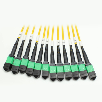 Cable MPO Fanout à faible perte Cœur de grande quantité 1M 144F SMG657A1 MPO APC à MPO APC Breakout Cord de patch en fibre optique