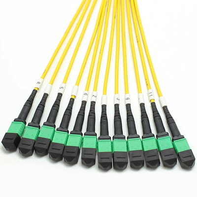 144F MTP MPO Fanout Cable SMG657A1 MPO APC à MPO APC Breakout Cordon de patch en fibre optique