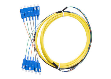 12 noyau, corde de correction optique d'intérieur de la fibre 24core avec le connecteur de Sc